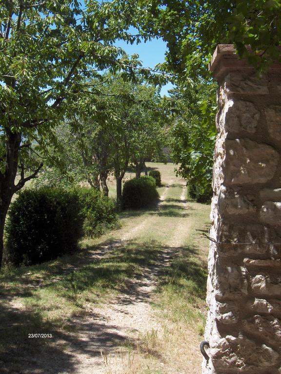 Agriturismo Il Palazzetto Apartment Campello sul Clitunno Luaran gambar